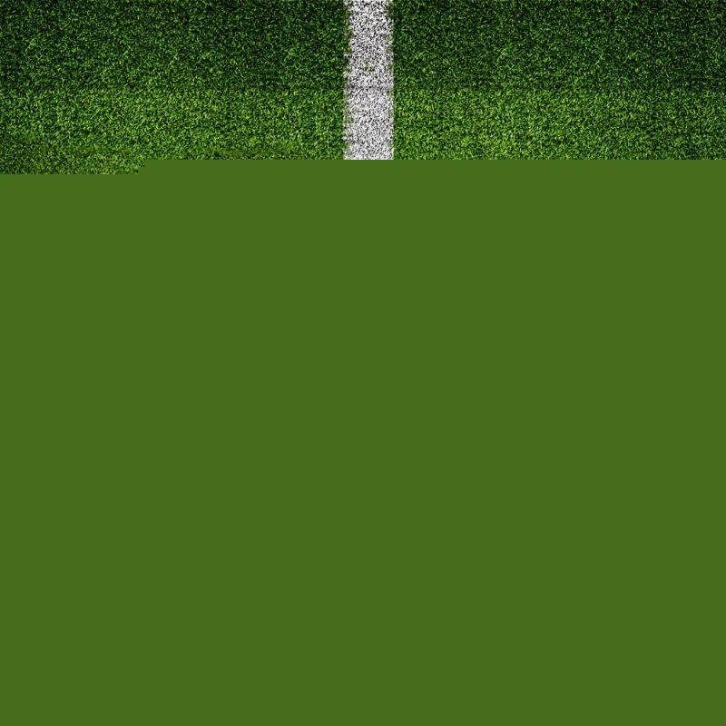 可逆转的障 可逆转的障