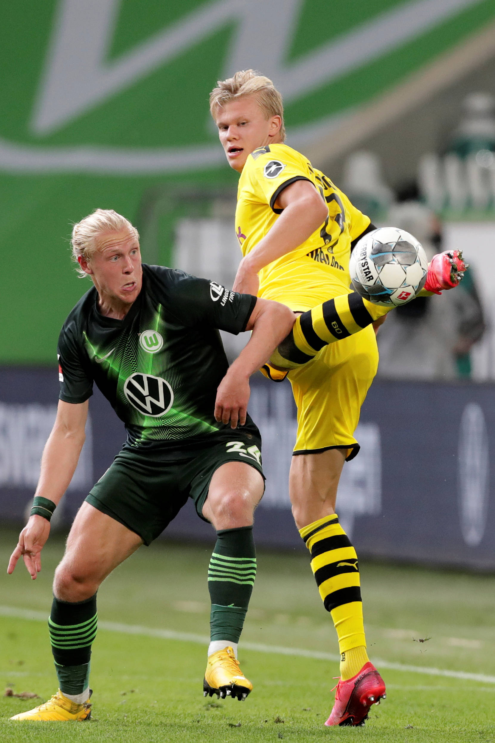 他们已创建 他们已创建